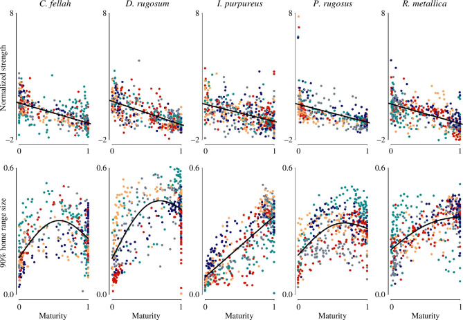 Node strength, social maturity and spatial dispersion.