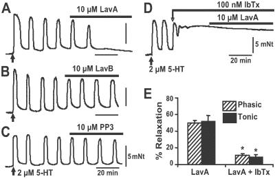 Fig 1.