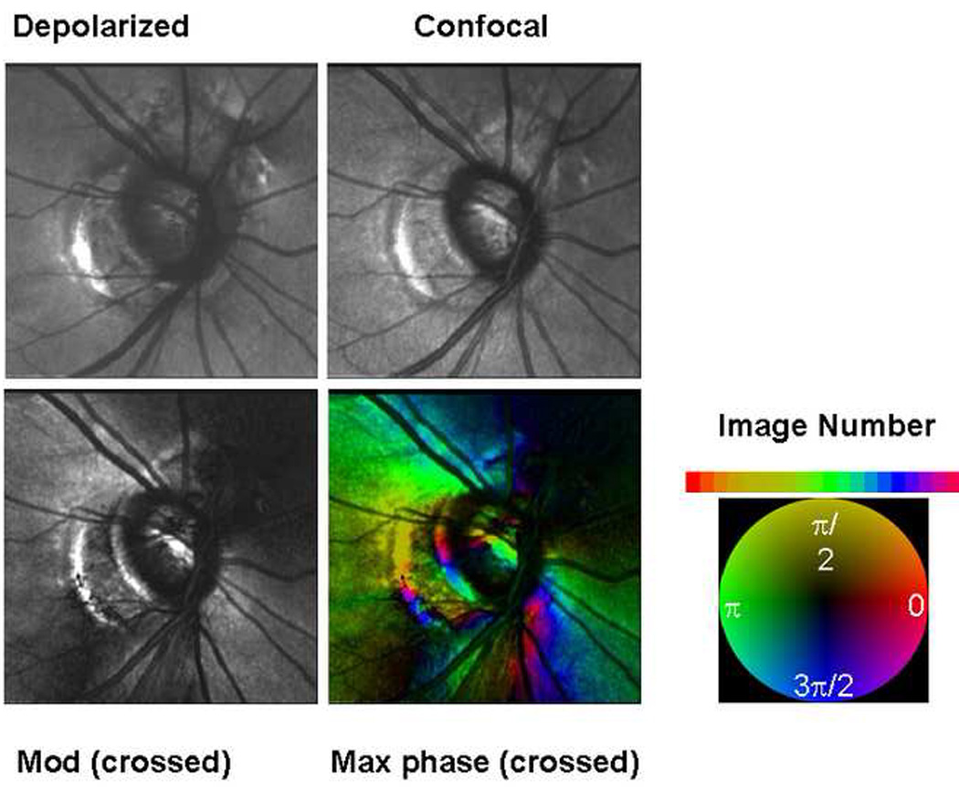 Fig. 4