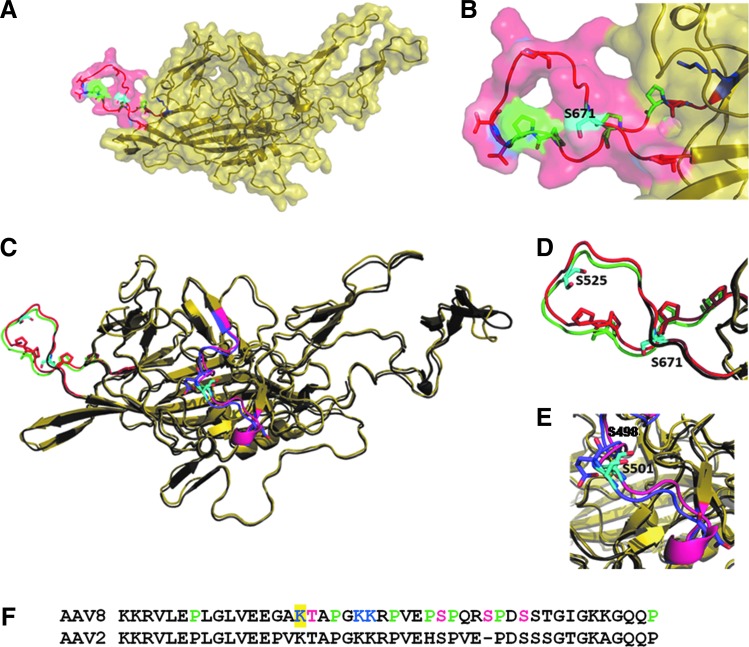 FIG. 2.