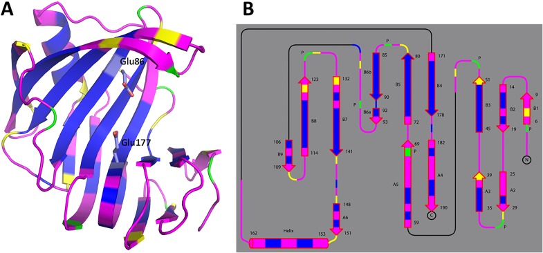 Fig. S4.