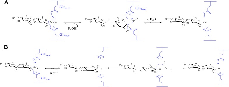 Fig. S1.