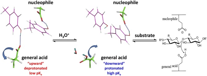 Fig. 3.