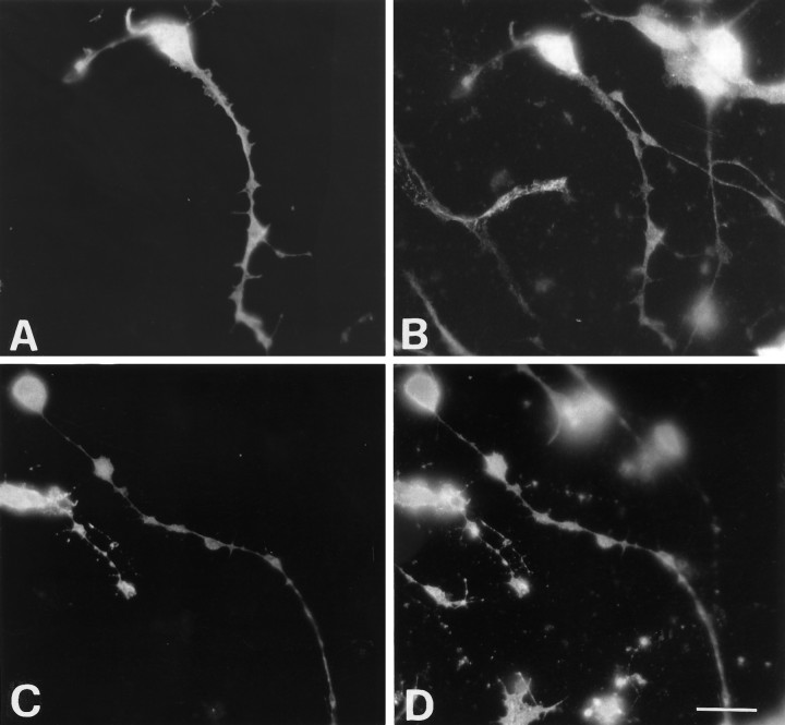 Fig. 10.