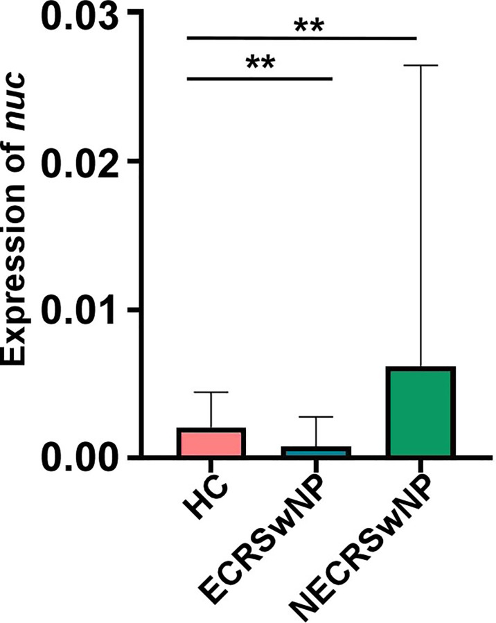 Figure 5