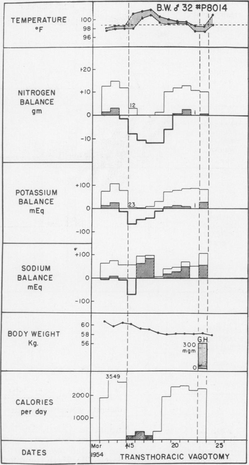 Fig. 3 (Case 13).