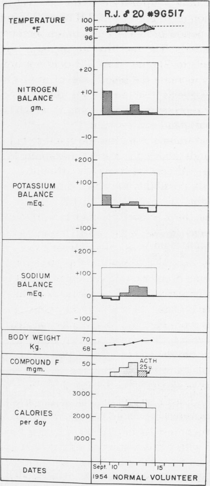 Fig. 25 (Case 24).