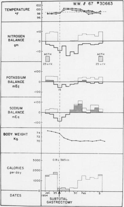 Fig. 9 (Case 16).