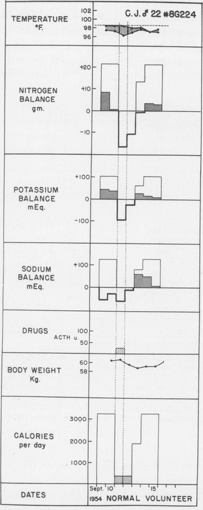 Fig. 23 (Case 23).