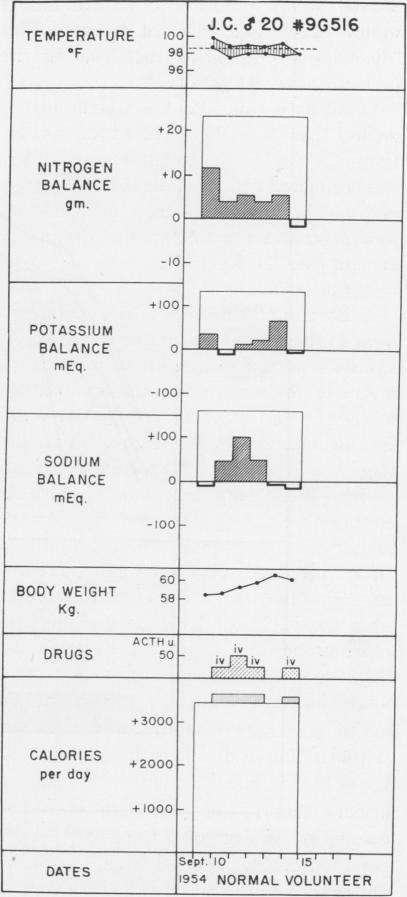 Fig. 21 (Case 22).