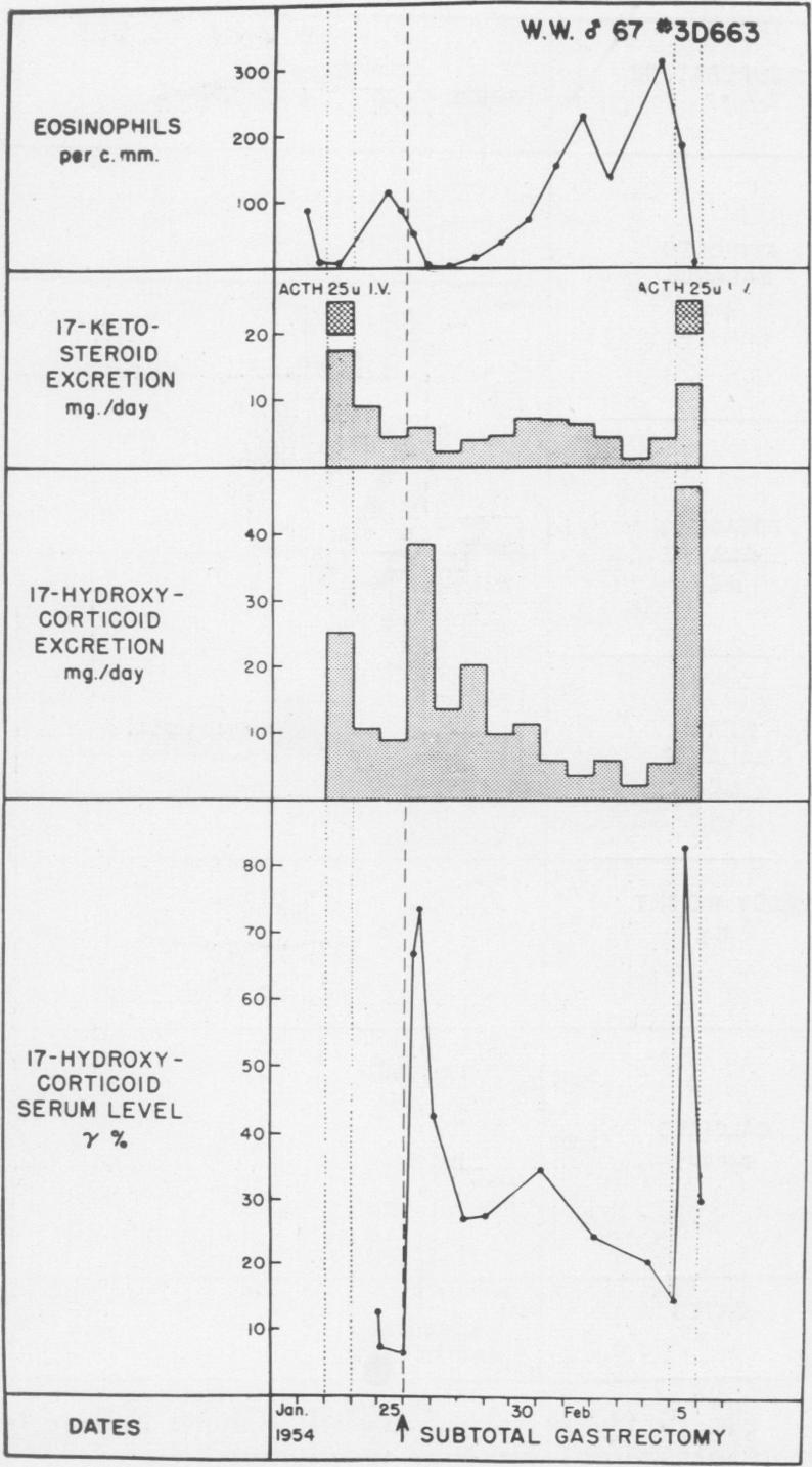 Fig. 10 (Case 16).