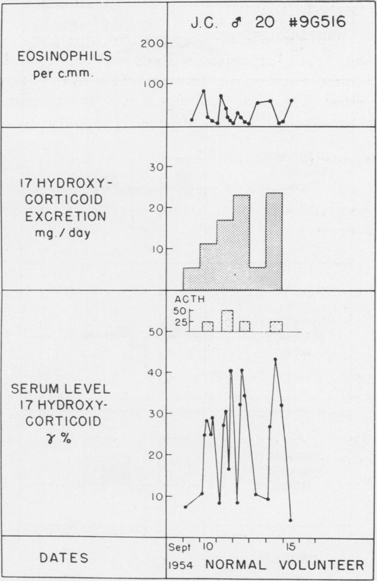 Fig. 22 (Case 22).