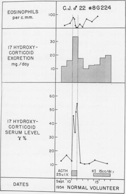 Fig. 24 (Case 23)