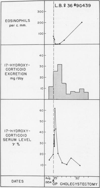 Fig. 12 (Case 17).