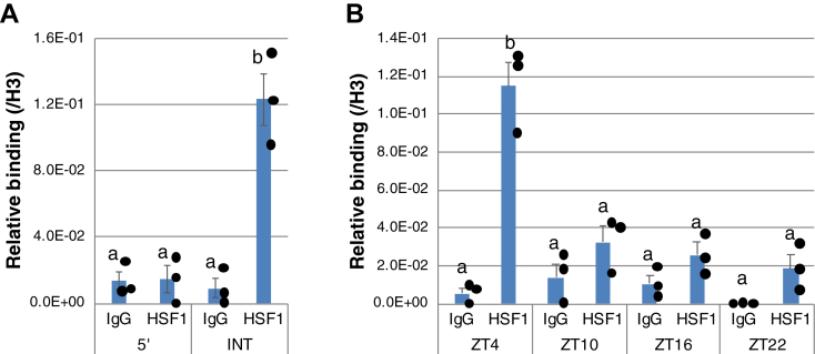 Figure 3