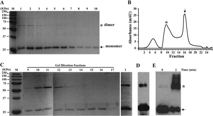 FIG 1