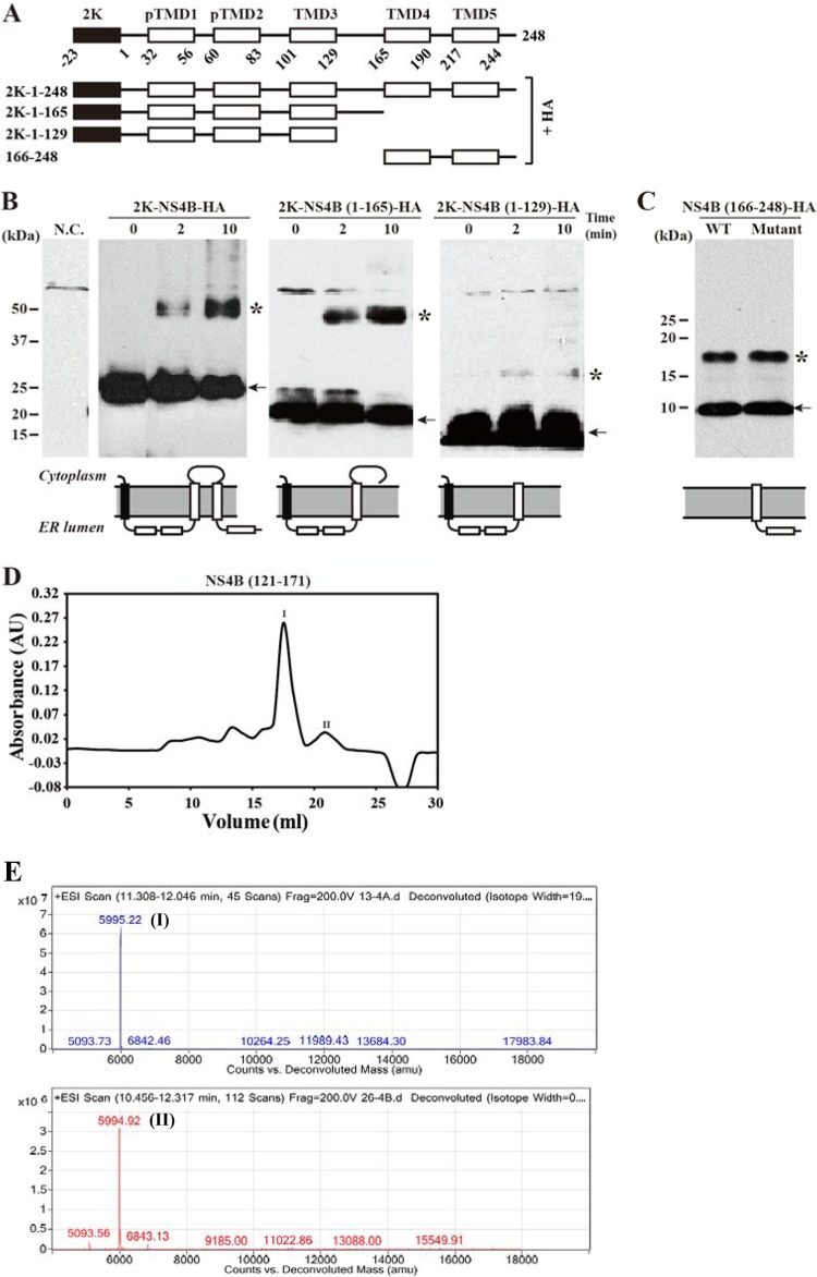 FIG 4