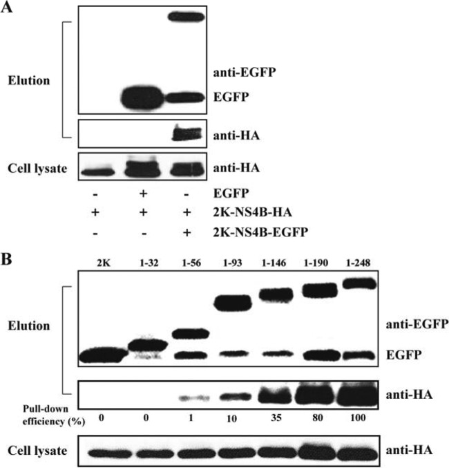 FIG 5