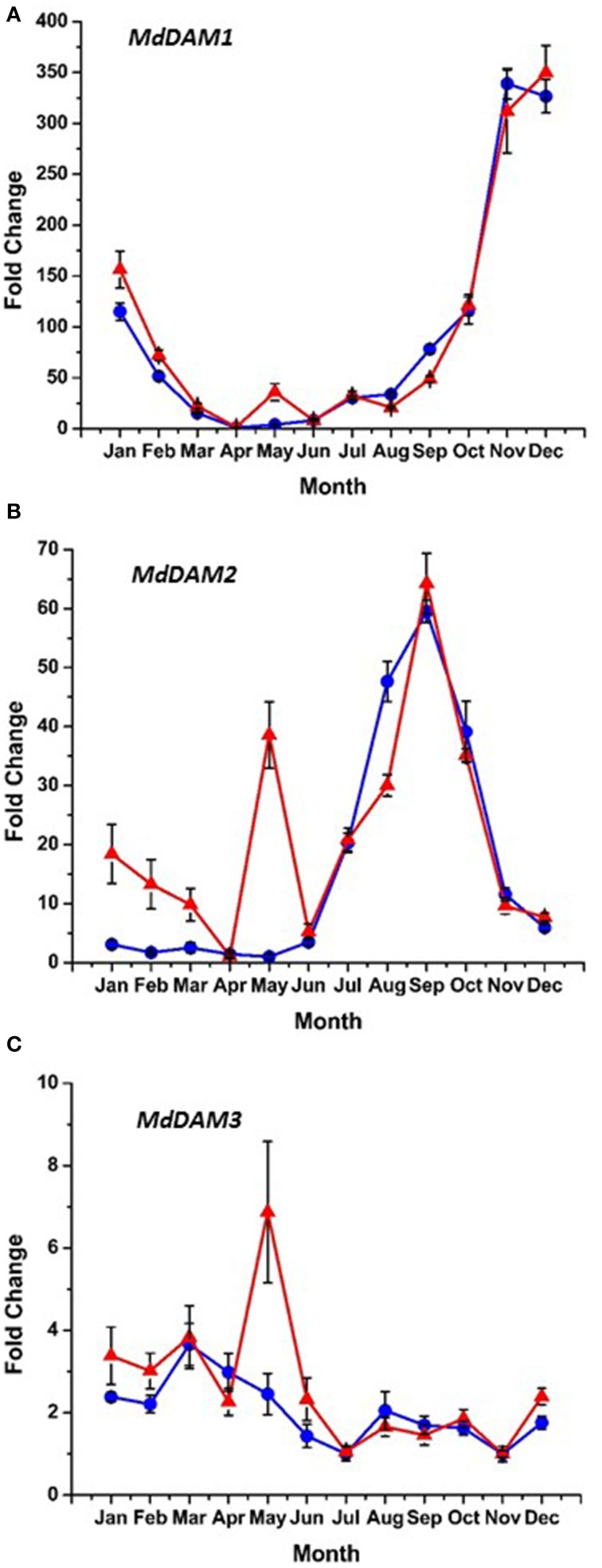 Figure 6