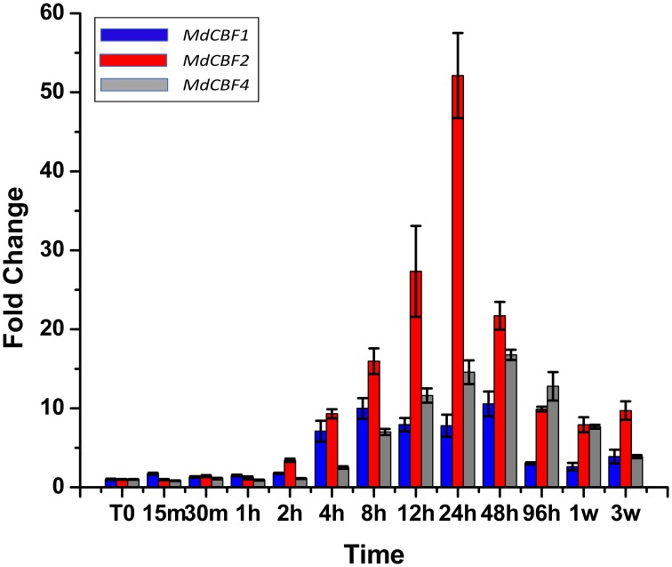 Figure 5