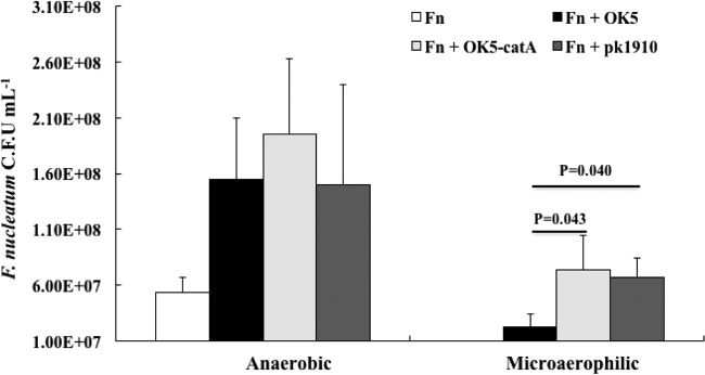 FIG 6