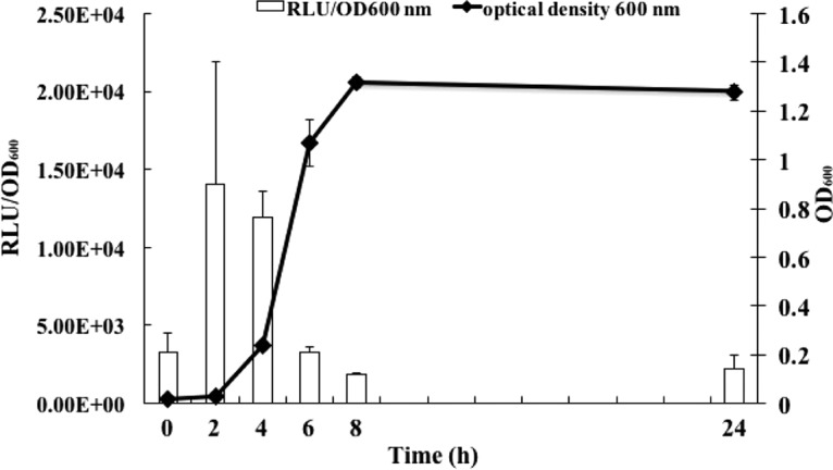 FIG 3