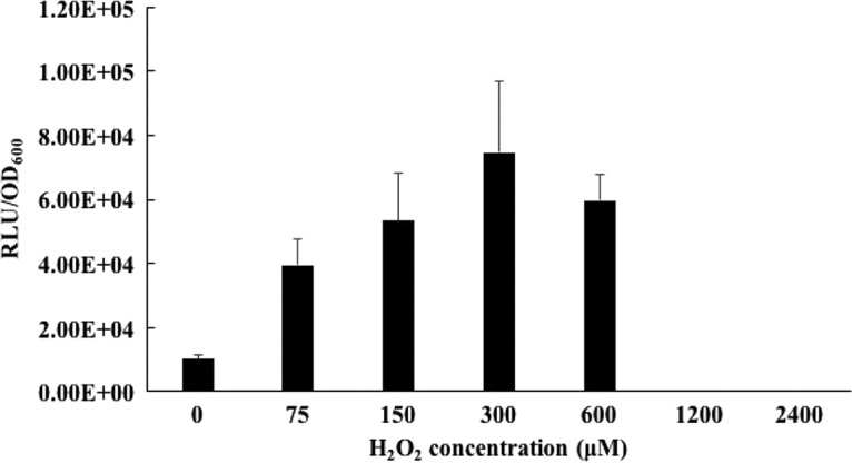 FIG 4