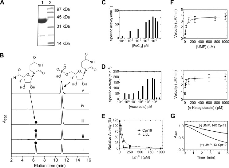 FIGURE 9.