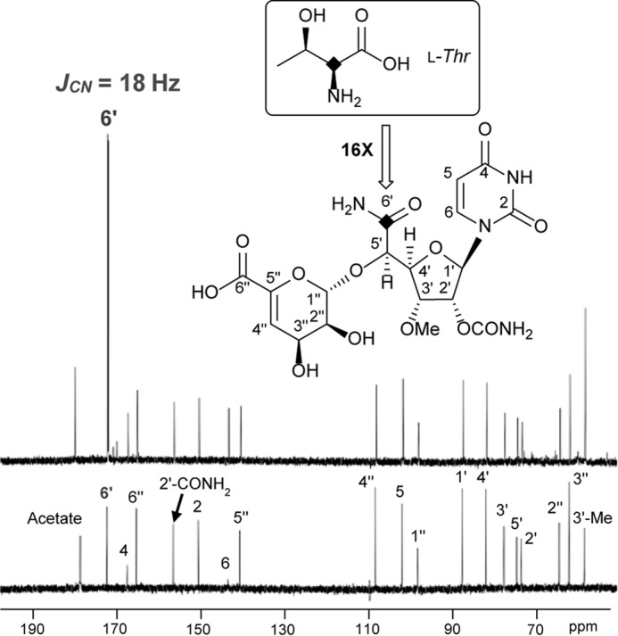 FIGURE 4.