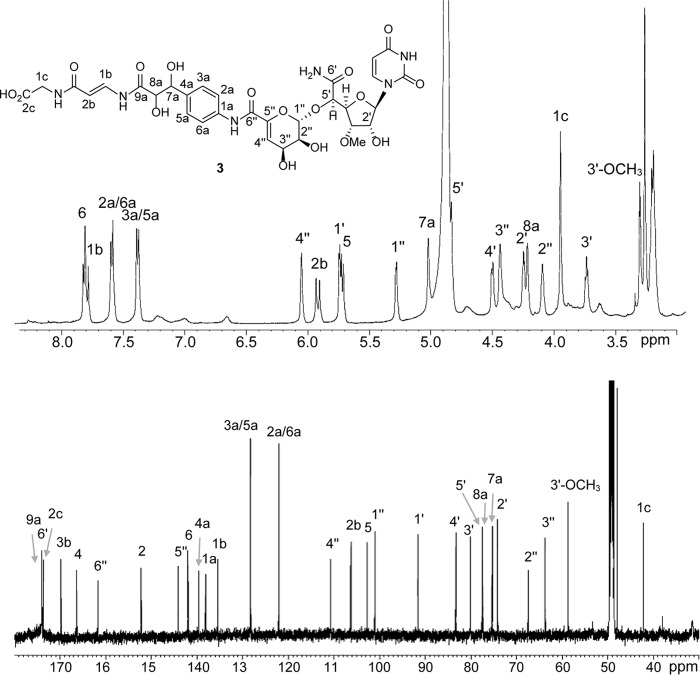 FIGURE 3.