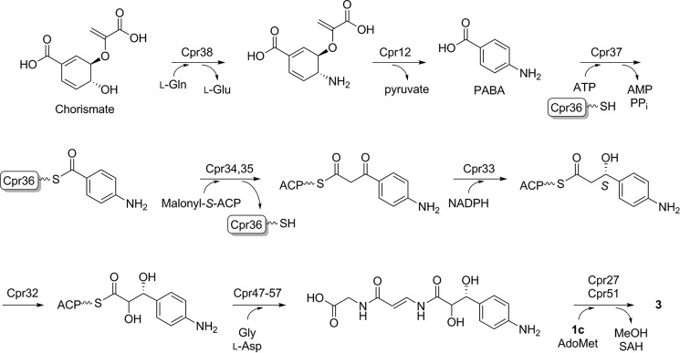 FIGURE 11.