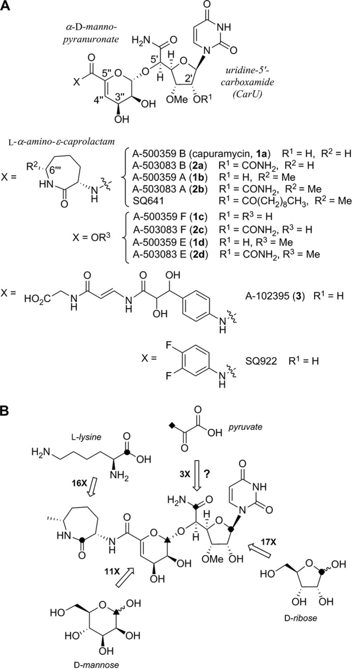 FIGURE 1.