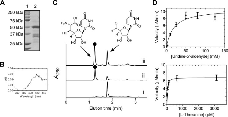 FIGURE 10.