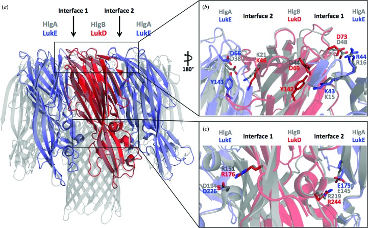 Figure 5