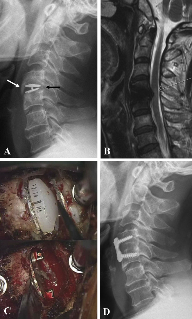 Fig. 2