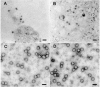 FIG. 7.