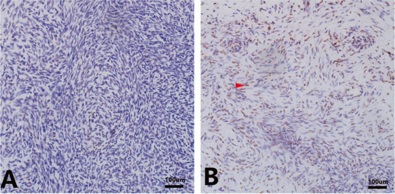 Fig. 6