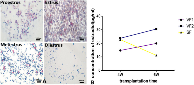 Fig. 3