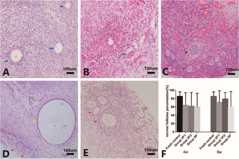 Fig. 4