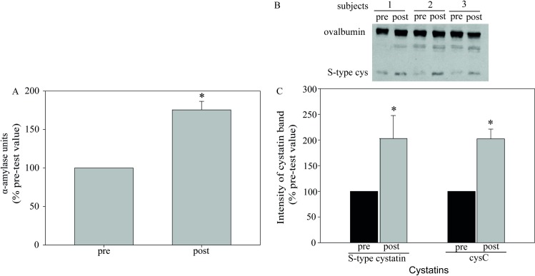 Fig 5