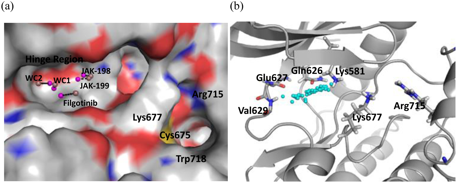 Figure 2.