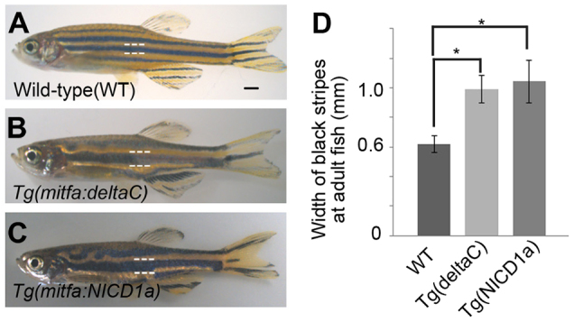 Fig. 3.