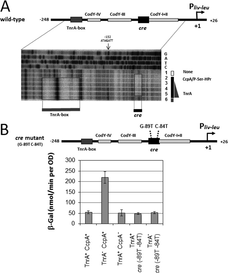 FIG 6