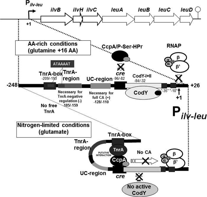 FIG 8