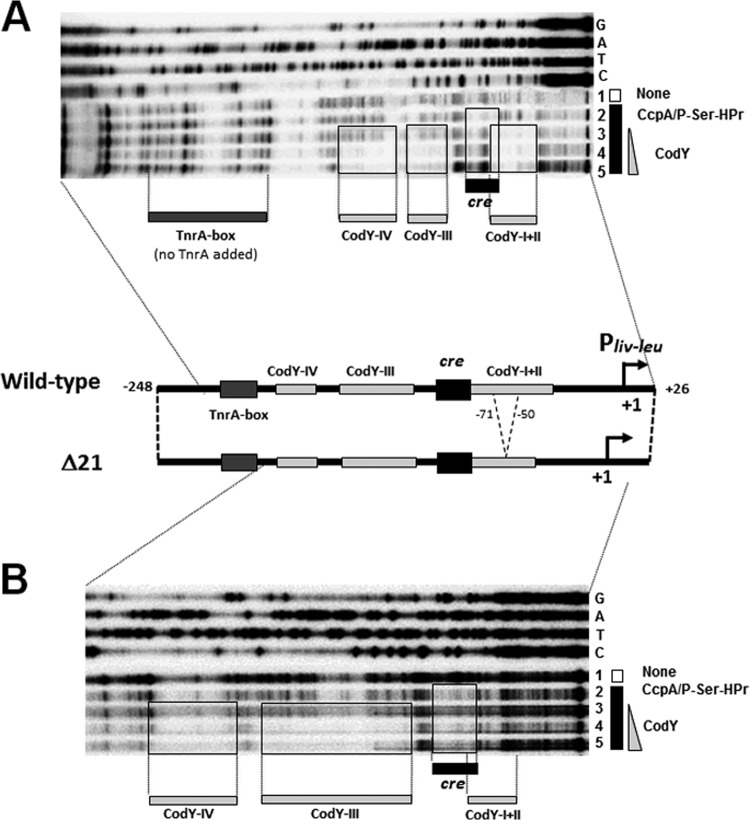 FIG 5