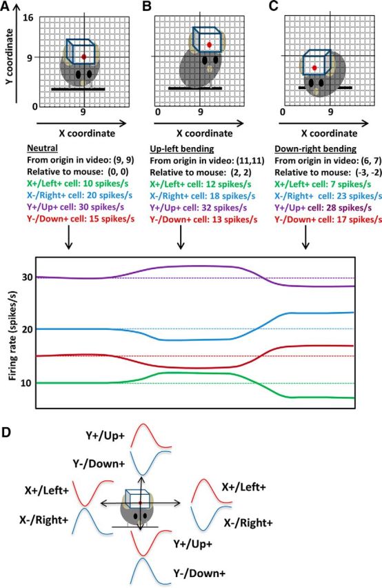 Figure 9.