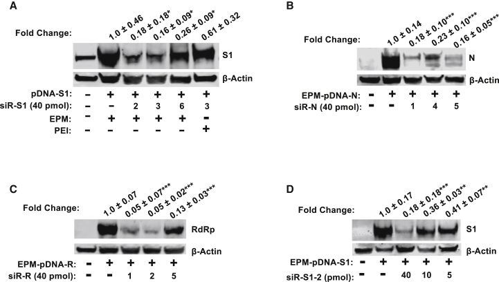 Figure 3