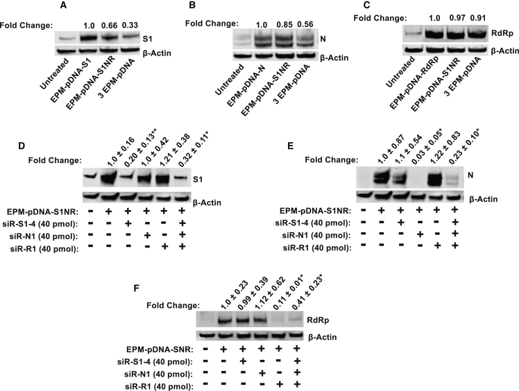 Figure 4