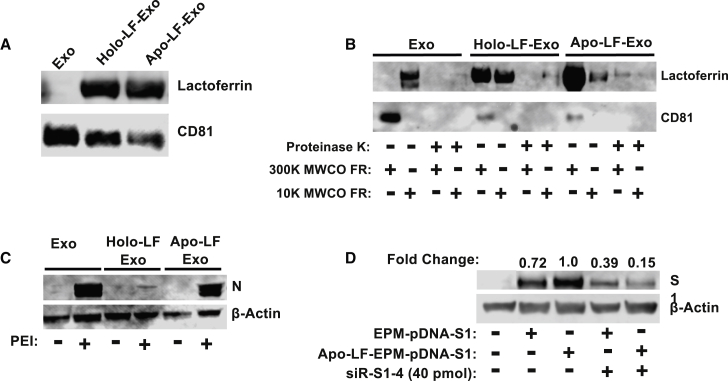 Figure 6