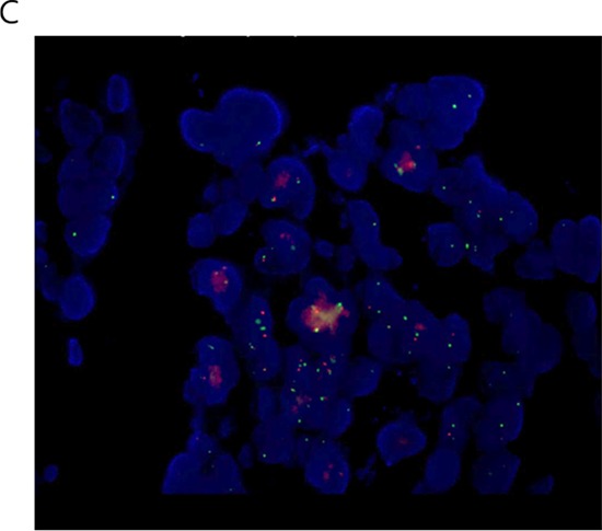 Figure 3C